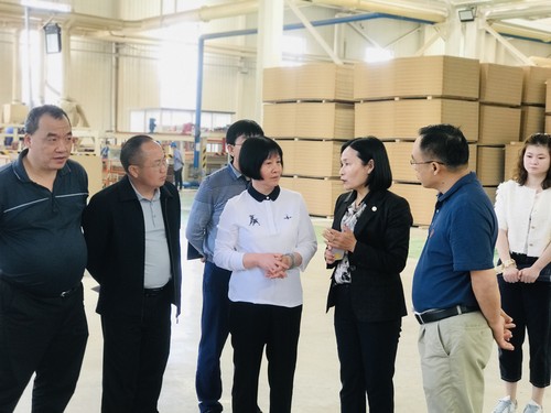 为全面推进林产业高质量发展贡献政协智慧力量