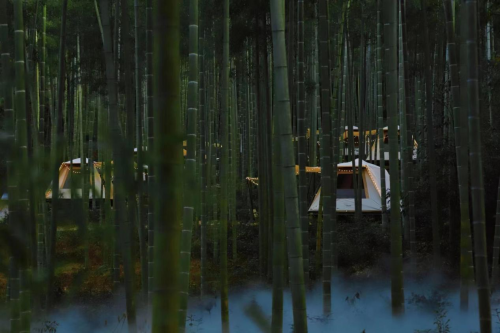 凝聚同心筑梦新力量 激发美丽乡村新活力