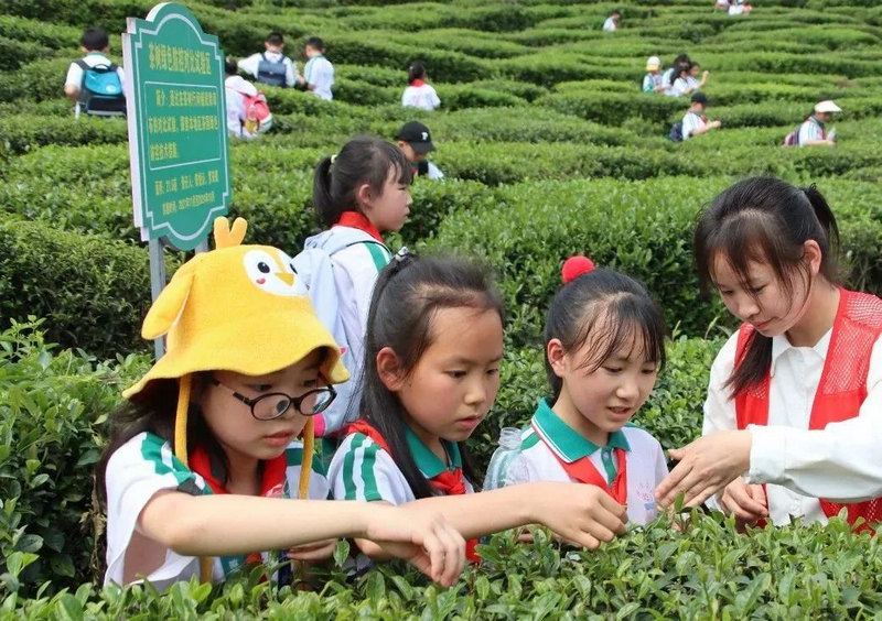 探访贵州唯一4A级研学景区校园：以校旅一体推进产教融合