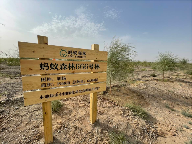 蚂蚁集团等企业加入“全球植万亿棵树领军者倡议—中国行动”