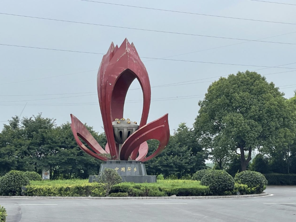 南邮学子三下乡：基层连线白鼠村，荷藕托举振兴梦