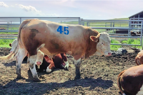 微信截图_20230731093506