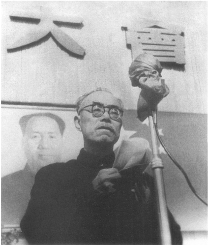 杨