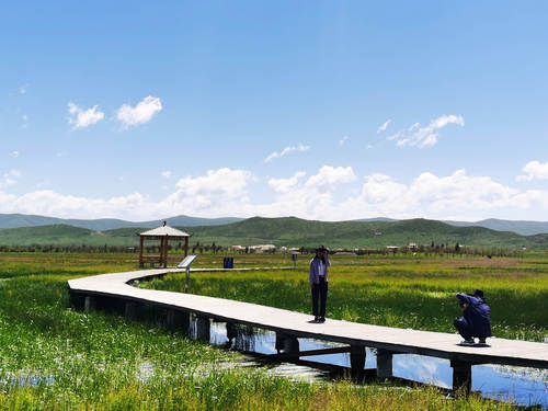 四川红原：红色大地的绿色承诺(分离图)微(2773793)-20230810140958