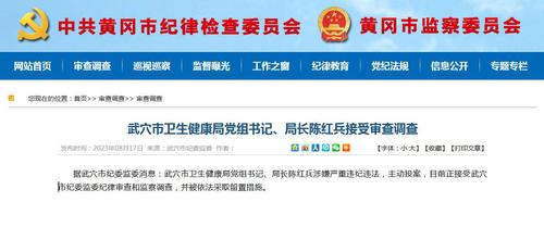 图片来源：黄冈市纪委监委网站