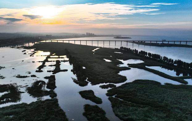 河南济源：黄河湿地好生态