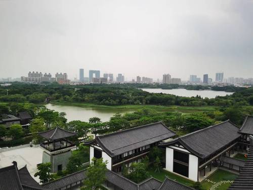 海珠湿地(2933419)-20230907094024