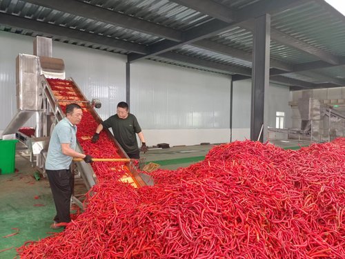 （晋站 请转民营）(2978216)-20230915094954