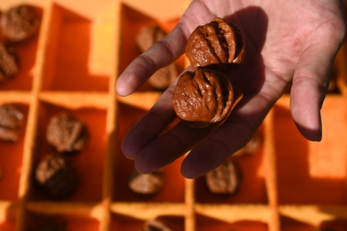 GetAttachment (3) GetAttachment (3)