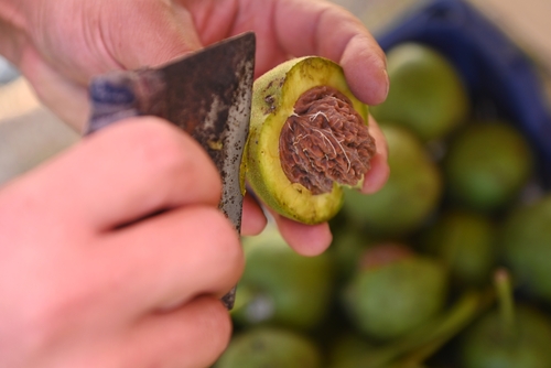 GetAttachment (5) GetAttachment (5)