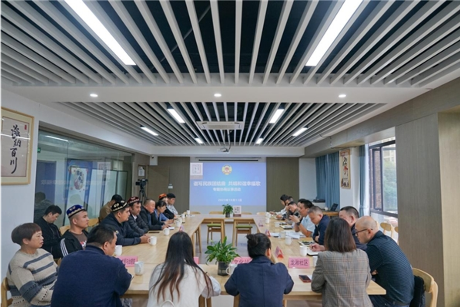 嘉兴平湖：协商议事凝聚“向心力” 共绘民族团结“同心圆”