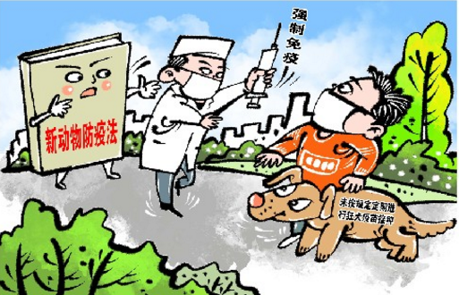养犬，这些法律底线要清楚！