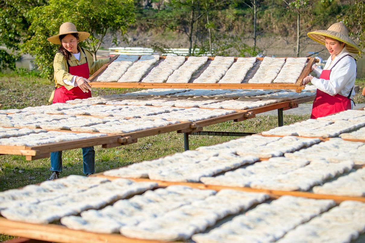 浙江淳安：“日晒面”共富工坊助力乡村振兴