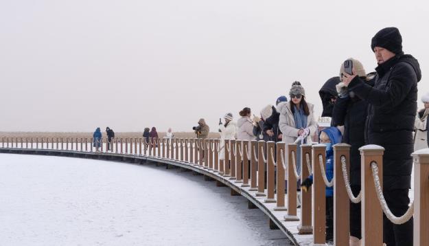 冬日漫雪 鹤舞扎龙