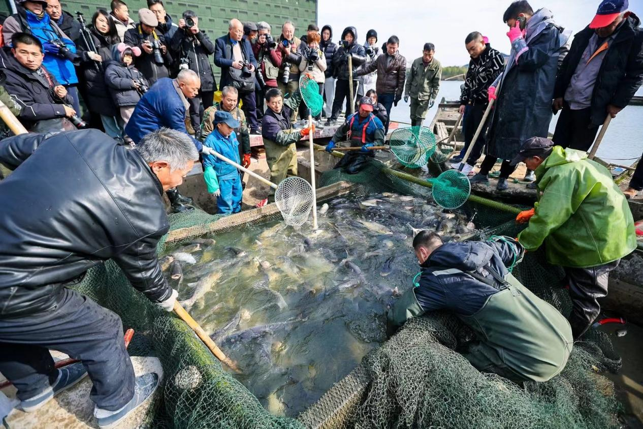 余杭仁和举办冬捕节暨首届渔文化国风生活嘉年华活动
