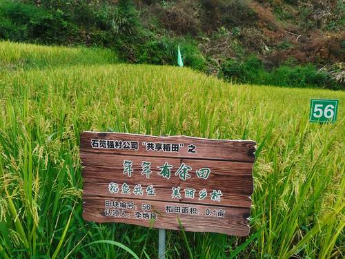 GetAttachment GetAttachment