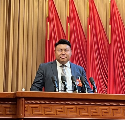 杨