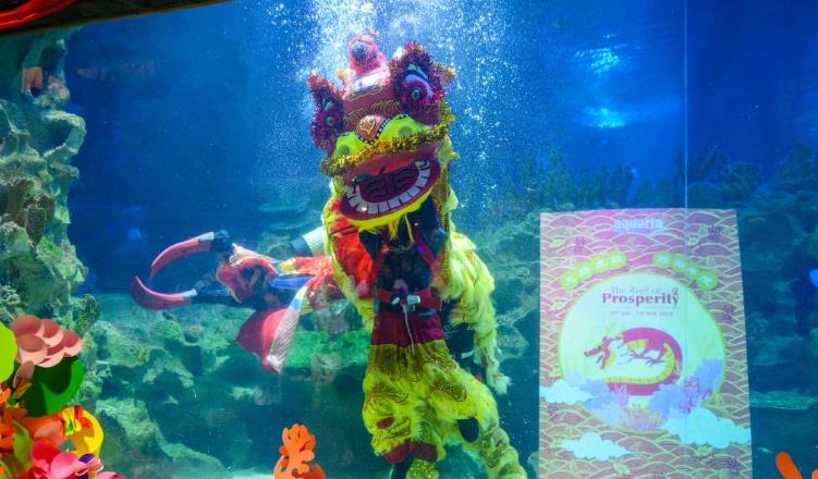 马来西亚：水族馆举办迎新春活动