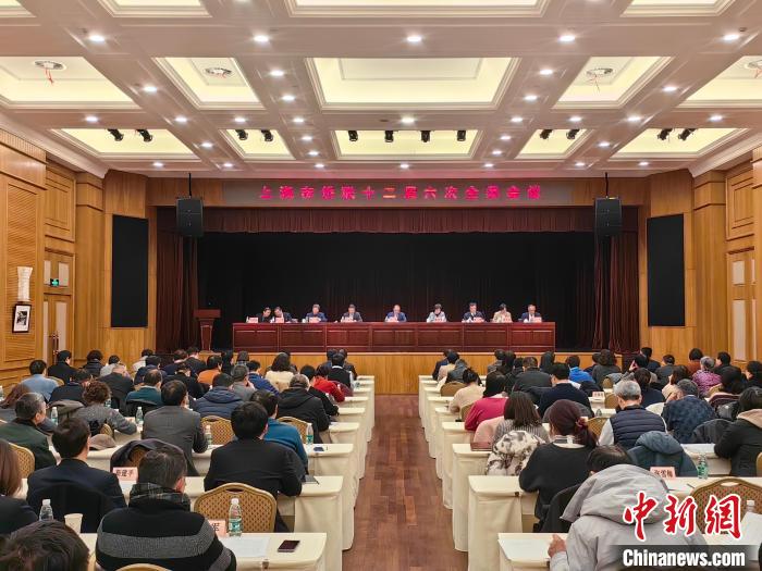上海侨联召开全委会：今年将主动“走出去”扩大朋友圈