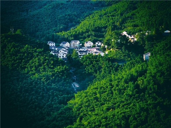 余杭鸬鸟：“新”力量助推乡村旅游发展拓出“新”路径