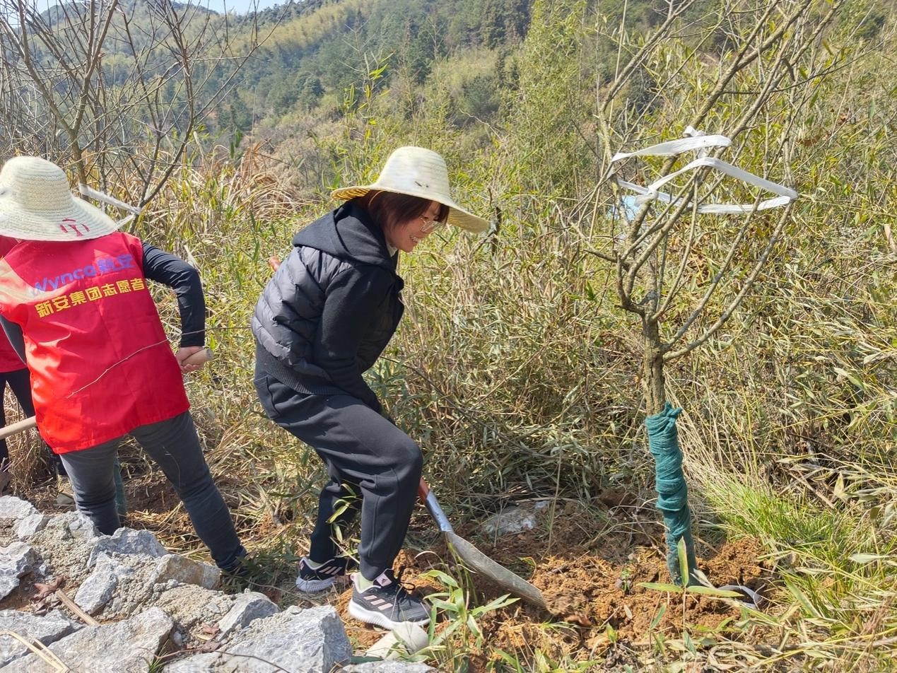 “植树造林美环境 助力乡村展新貌”植树节活动开展