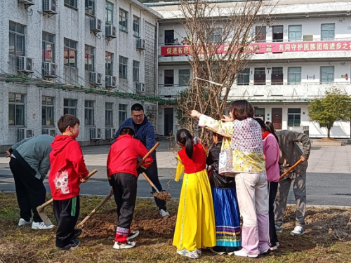 “之江同心·石榴红”家园开展植树活动