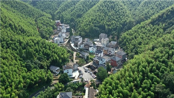 余杭鸬鸟：联动留学归国人士力量，共建幸福和美乡村