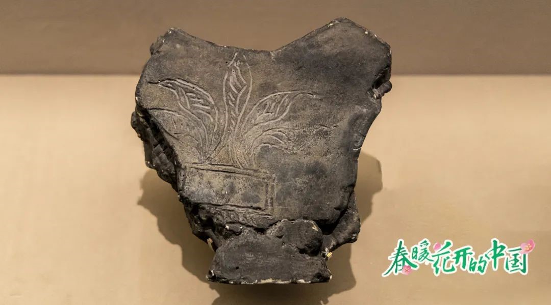 春暖花开“种花家”