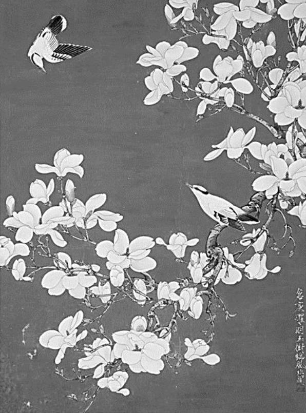 《玉兰黄鹂》的故事