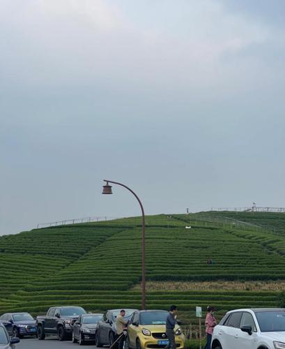 360截图20240325153522930