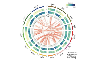 1712733916945 1712733916945