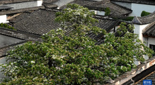 image6