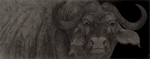 南非约堡系列之二（国画）96×244cm-2021年-詹-勇