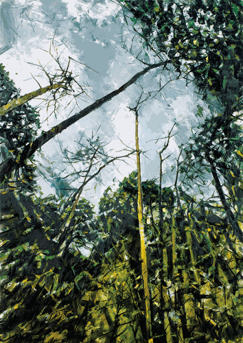天台奇木（油画）73×50cm-2022年-许-江