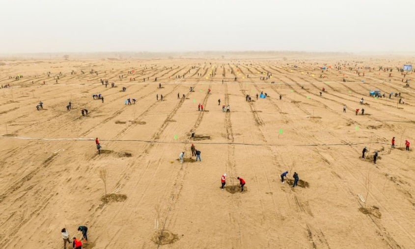 内蒙古科右中旗：为沙化土地披上绿装