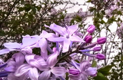 1893131_4096x10000