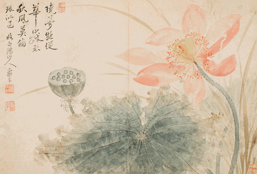 花卉册页·临陈白阳山人法（国画）-恽寿平-台北故宫博物院藏