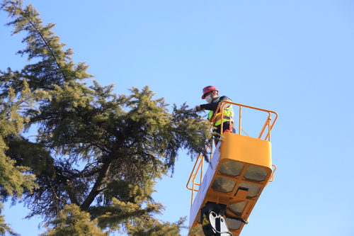 微信图片_20240501210121