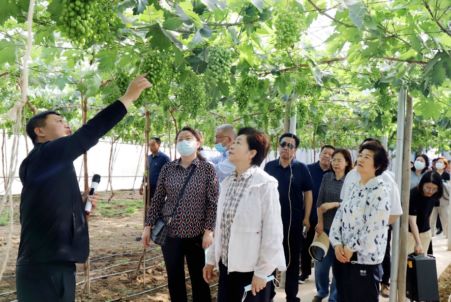 宁夏回族自治区政协：围绕中心服务大局 深入协商议政