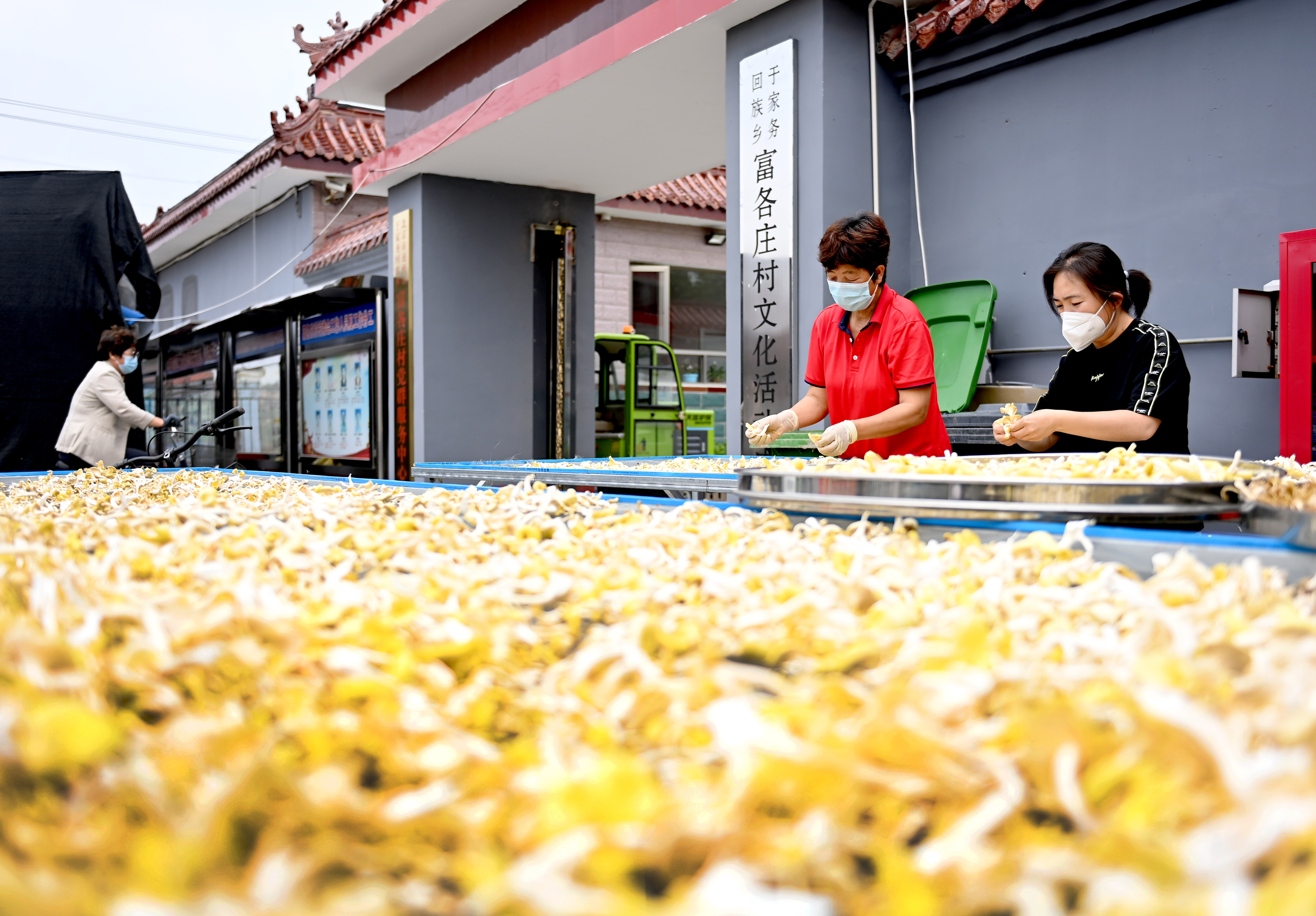 赋能乡村振兴 “科技小院”作用大