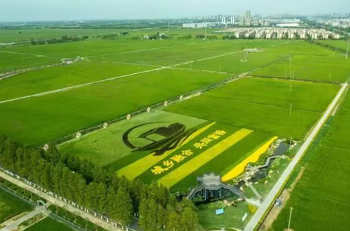 微信截图_20240612170412