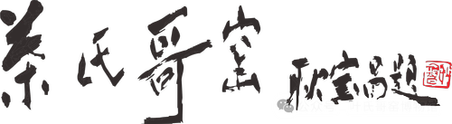 图片7