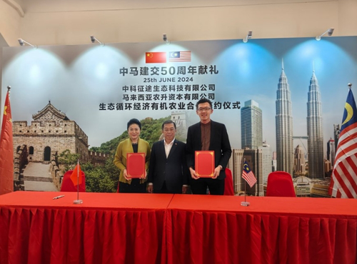 微信截图_20240627093830
