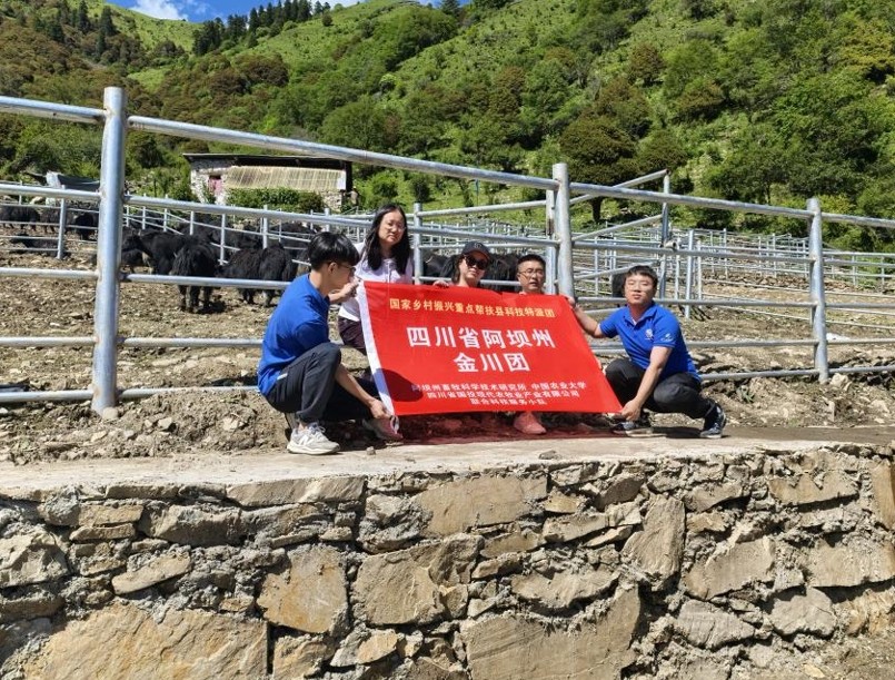 四川省阿坝州金川县金川牦牛品种保护 育种场正在紧急建设和试运营