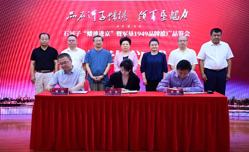 微信截图_20240709090856
