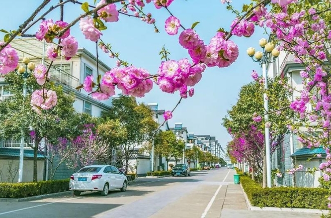 好的农村人居环境什么样？委员们这样说……