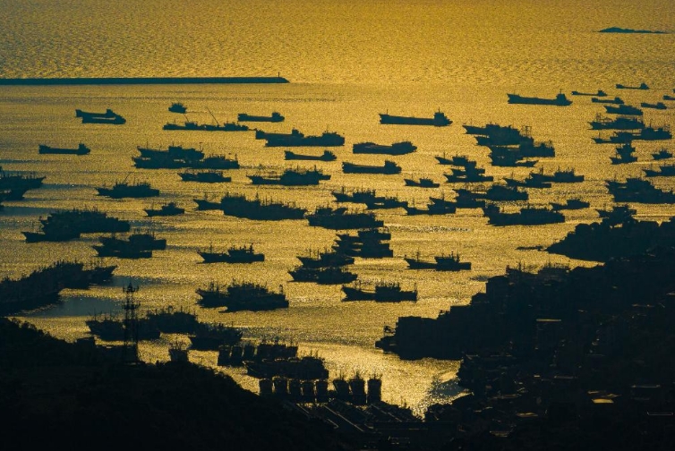 浙江温岭：夏日渔港美如画