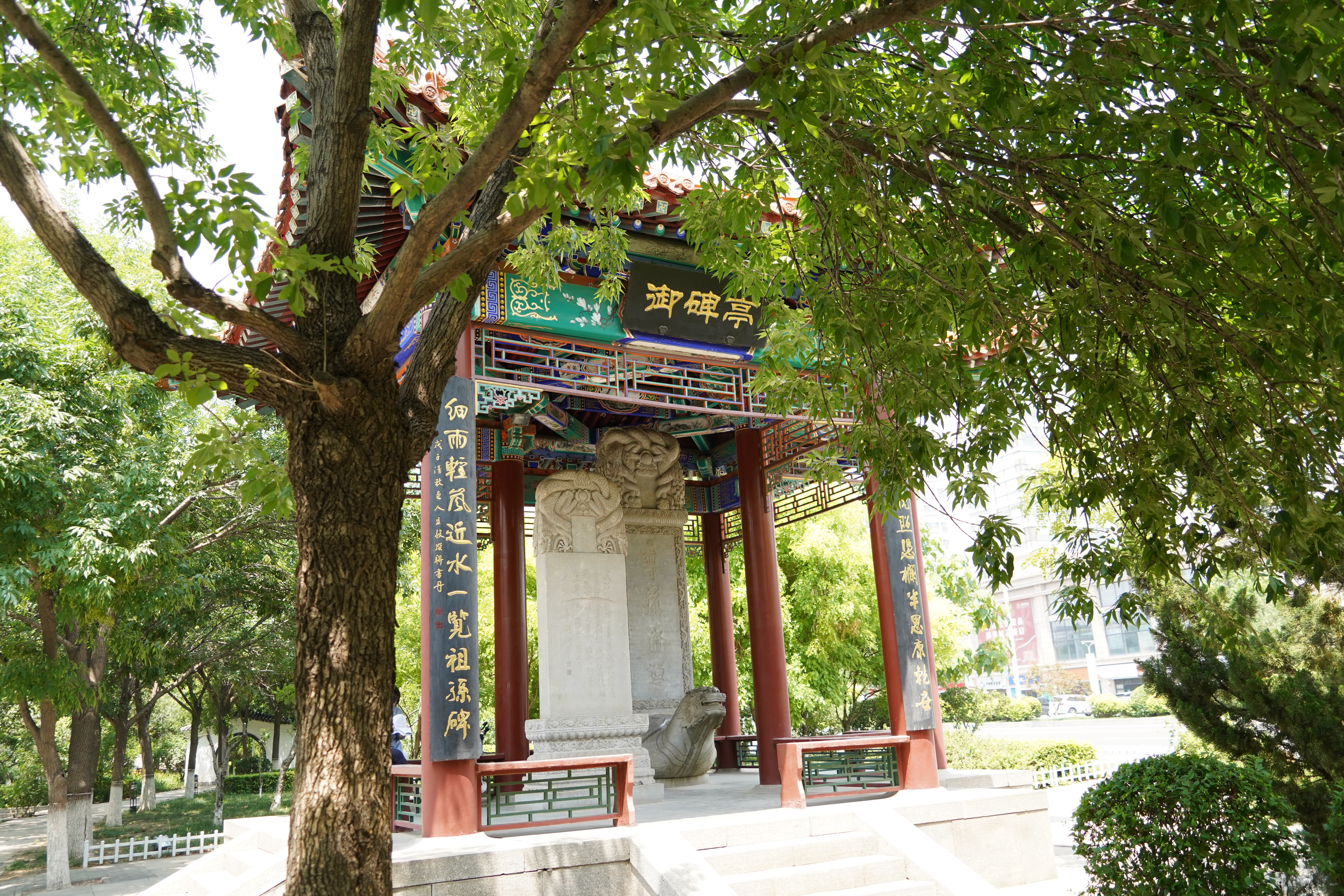 大运河武清段：一河碧水绘就乡村振兴新图景