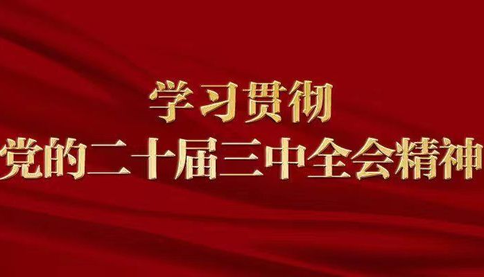 凝聚力量抓落实，开创进一步全面深化改革新局面——各地干部群众掀起学习贯彻党的二十届三中全会精神热潮