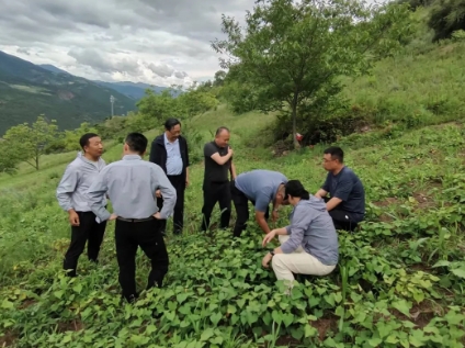 双向奔赴“山海之约”